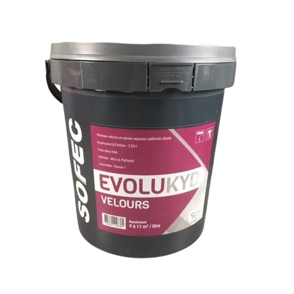 Peinture Velours Blanc Evolukyd Sofec 4L