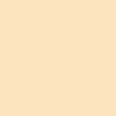 Résinence Color résine colorée Sable 0.25L 3700441950410 Resinence 29,90 € 10,00 €