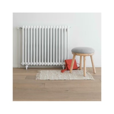 Peinture de rénovation radiateur et électroménager acrylique V33 satin blanc 0,75 L 3153895116503 V33 32,90 € 16,45 €