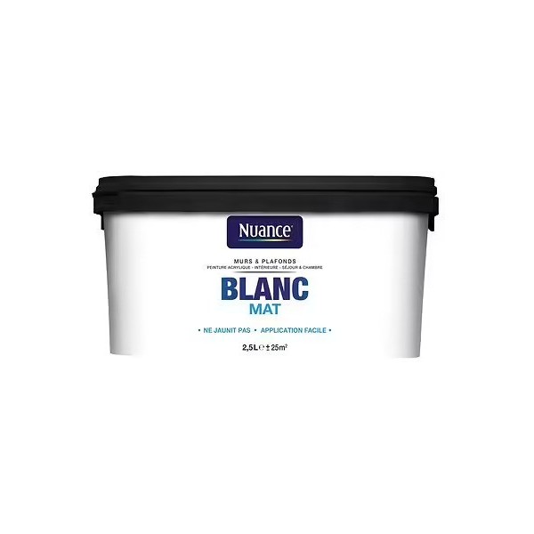 Peinture Murs et plafonds NUANCE Blanc Mat 2.5L