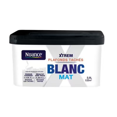Peinture XTREM Plafonds tachés NUANCE Blanc Mat 2,5L 3505391098539  35,90 € 20,00 €