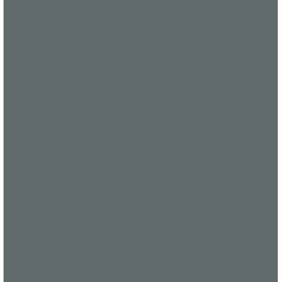 Peinture bois extérieur gris basalte satin V33 Solution Expert 2.5L 3153895194747 V33 67,90 € 33,95 €