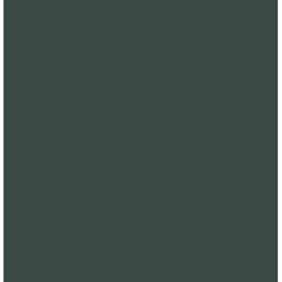 Peinture extérieure bois Solution expert vert basque RAL 6005 satin V33 2.5L 3153895194754 V33 67,90 € 33,95 €
