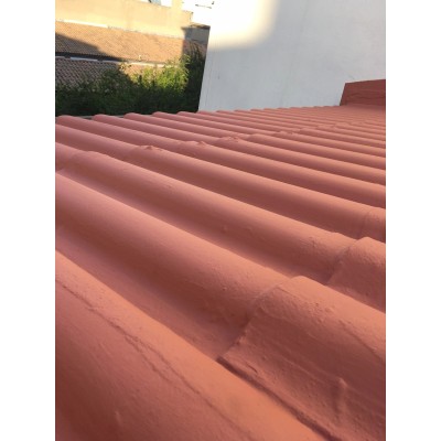 Peinture Toiture Pincugum 4L  Pincusa 34,90 € 34,90 €
