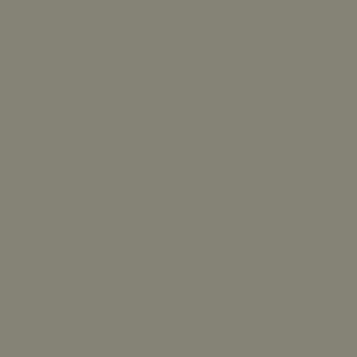 Lasure bois Chalets Color V33 0,75L  V33 5,00 € 5,00 €