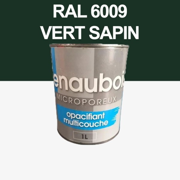 Peinture Microporeuse Bois exterieur 1L Vert Sapin 6009