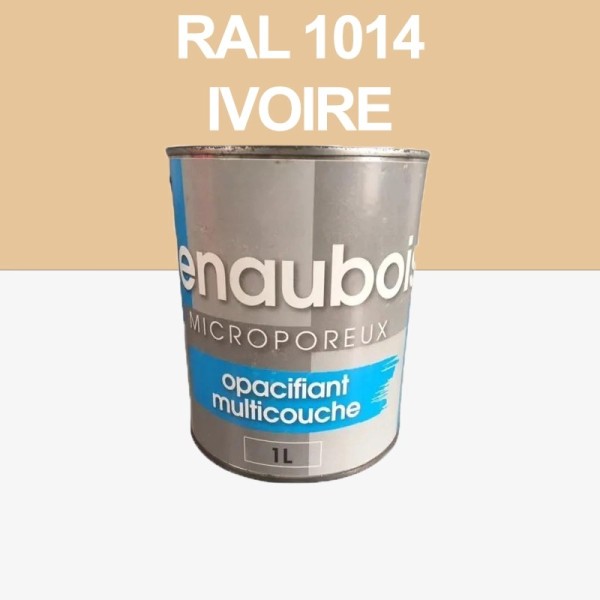 Peinture Microporeuse Bois exterieur 1L ivoire 1014